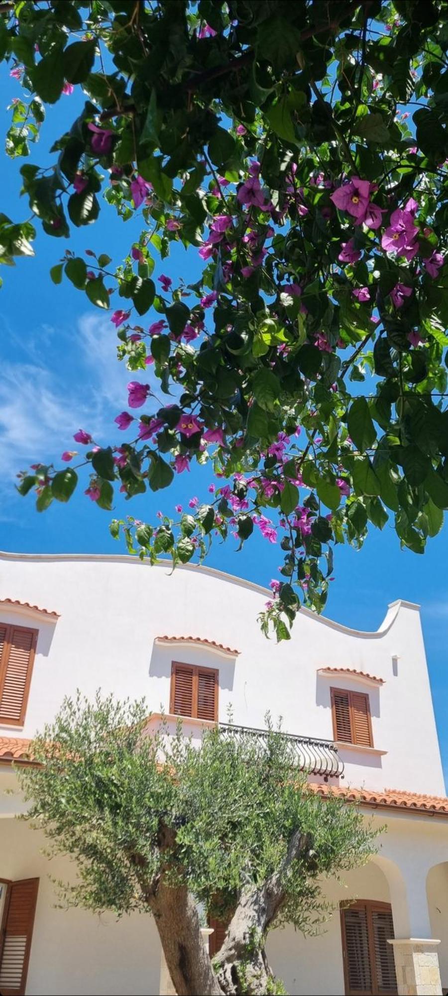 Villa Guajira Bari Exterior photo